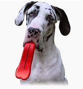 Image result for Plastic Dog Chew Toys