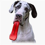 Image result for Rubber Dog Chew Toys