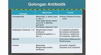 Image result for Antibiotik Sefalosporin