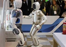 Image result for Robot Taking Its Human for a Walk