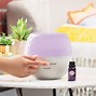 Image result for Diffusers for Essential Oils Clearance