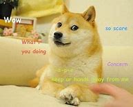 Image result for Dog Memes