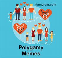 Image result for Poly Meet Meme