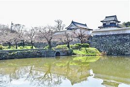 Image result for Fukuoka Castle
