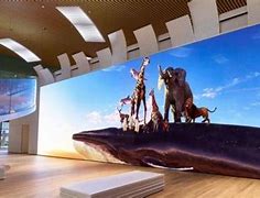 Image result for What Is the Biggest Screen Company