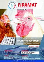 Image result for Advertisement of Poultry Farming