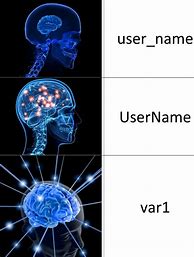 Image result for Expanding Brain Programming Meme