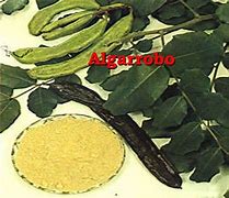 Image result for algarrobeta