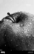 Image result for Red Apple Black and White BG