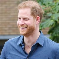 Image result for Prince Harry Awards On His Uniform