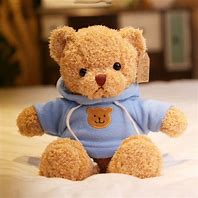 Image result for Teddy Bear Soft Toy