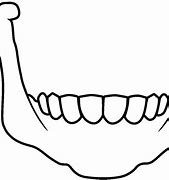 Image result for Jaw Bone Drawing
