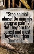 Image result for Stop Animal Abuse Quotes
