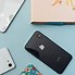 Image result for Miniature iPhone 11 Mini