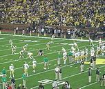 Image result for Notre Dame Leprechaun Push UPS