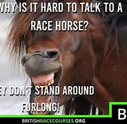 Image result for Funny Horse Racing