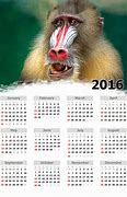 Image result for Generic 30-Day Calendar