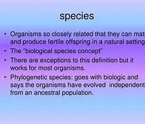 Image result for Definition of Pioneer Species Biology