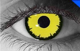 Image result for Angelic Yellow Contact Lenses