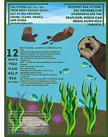 Image result for Otter Printable Facts