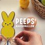 Image result for peep pics