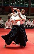 Image result for Real Aikido
