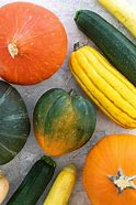 Image result for Round Squash Types