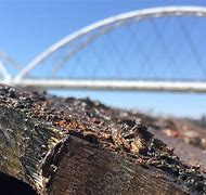 Image result for What Is the Pile On a Bridge