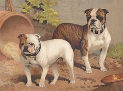 Image result for Antique Posters Dogs