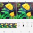 Image result for iPhone 8 Photo Filters