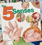 Image result for My Five Senses 2 Sides Book