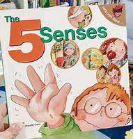 Image result for My Five Senses Book
