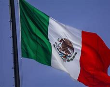 Image result for Mexican Flag with Meme