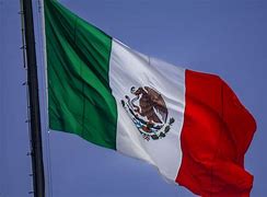 Image result for Mexico Countries Flag