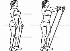 Image result for Resistance Band Exercises