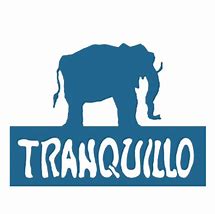 Image result for tranquillo