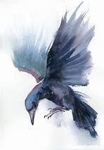 Image result for Watercolor Raven Painting