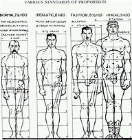 Image result for Human Body Dimensions