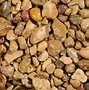 Image result for Bulbul Pebble