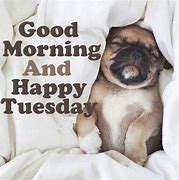 Image result for Cute Happy Tuesday Meme