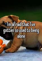 Image result for So Used to Being Alone Meme