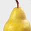 Image result for Pare Icon Fruit