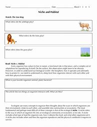 Image result for Lion King Science Activites 6 Year Old