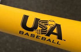 Image result for Baseball Bat Cross Logo