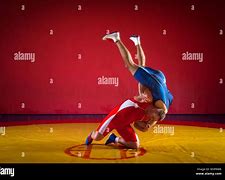 Image result for Wrestling Hip Throw