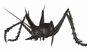 Image result for FO4 Cave Cricket