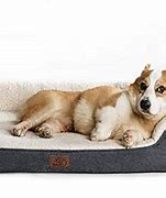 Image result for Dog Beds Toy