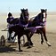 Image result for World Championship Chariot Racing