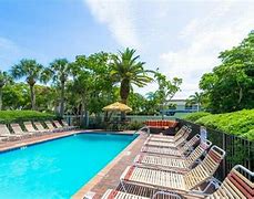 Image result for Tropical Beach Resort Siesta Key Florida