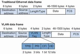Image result for Tagged Ethernet Frame